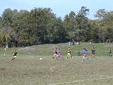 Click to see PA210143.JPG